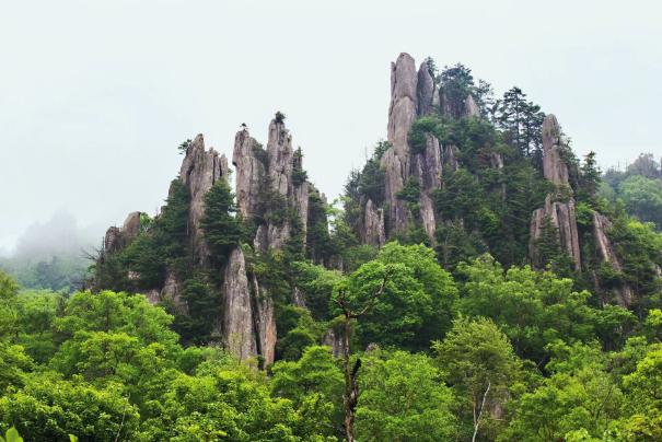 陜西寶雞：執“生態”之筆 繪就青山綠水新畫卷